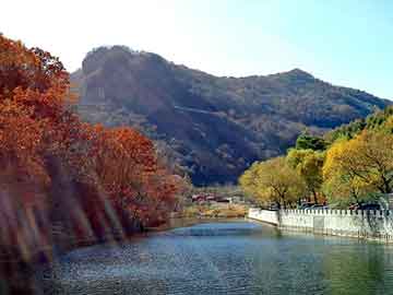 导师一对一带赚回本上岸